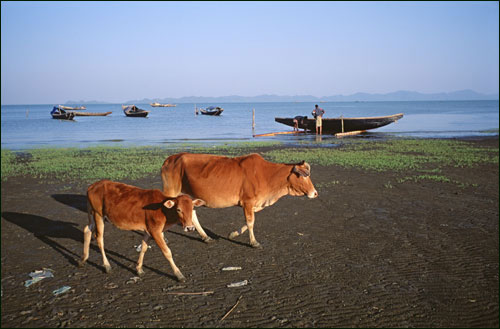 Sittwe, Burma