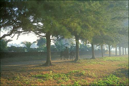 Sittwe, Burma