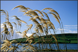 Dingle, County Kerry, Ireland