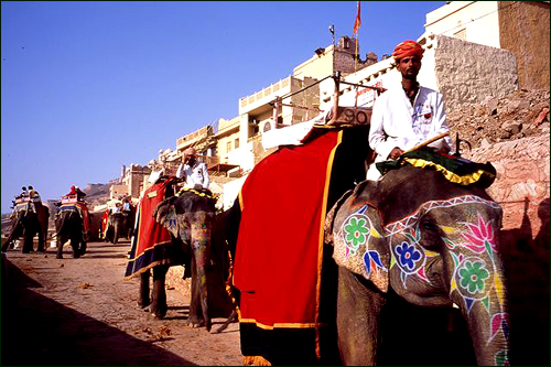 Meherangarh Fort, Jodhpur