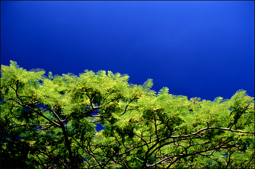 Maui, Hawaii