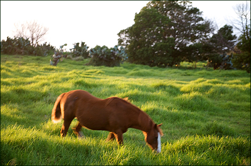 Maui, Hawaii