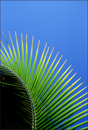 Maui, Hawaii   