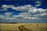 Chaco, New Mexico